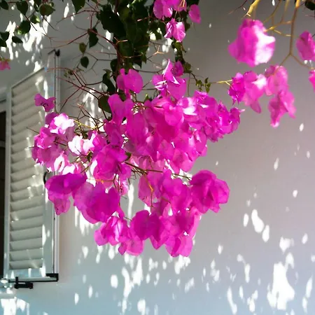 度假居 Felicia's Sun-side House Kastrákion